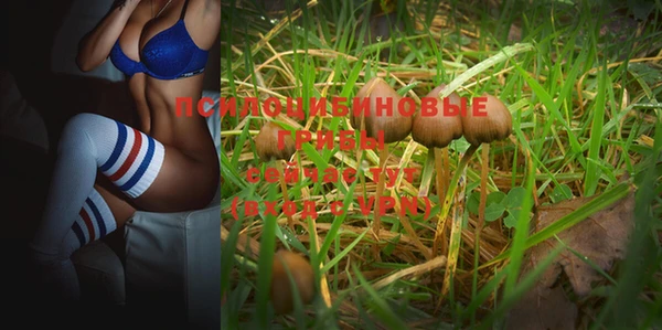 эйфоретик Абинск