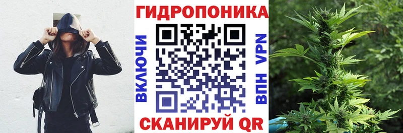 Бошки марихуана Bruce Banner  магазин  наркотиков  Барнаул 